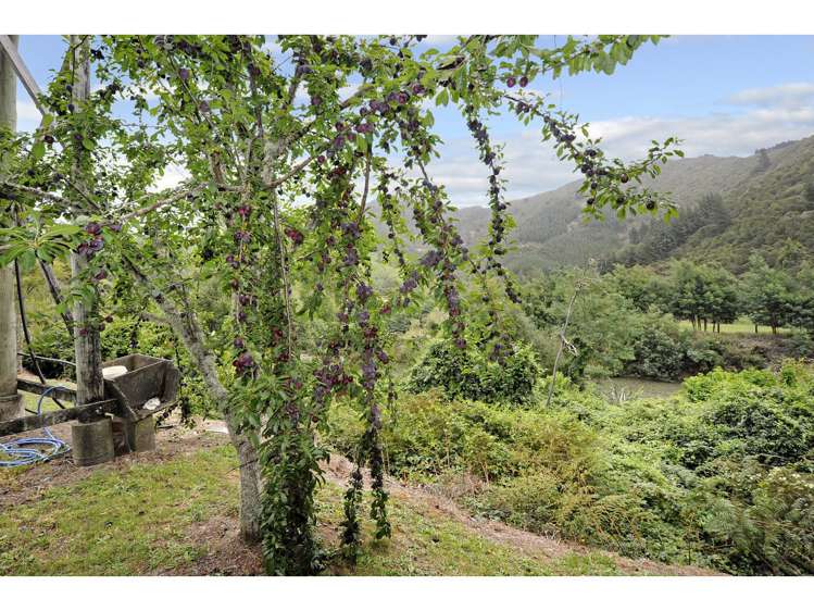 154 Wakamarina Road Havelock_8