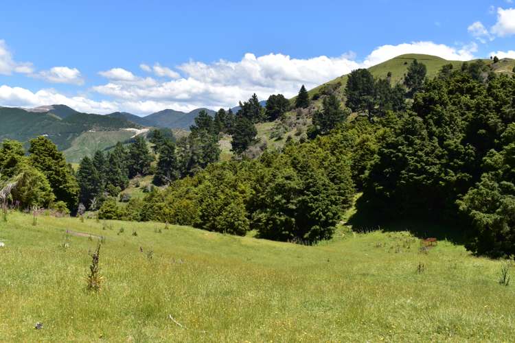 1809 Motueka Valley Highway Ngatimoti_25