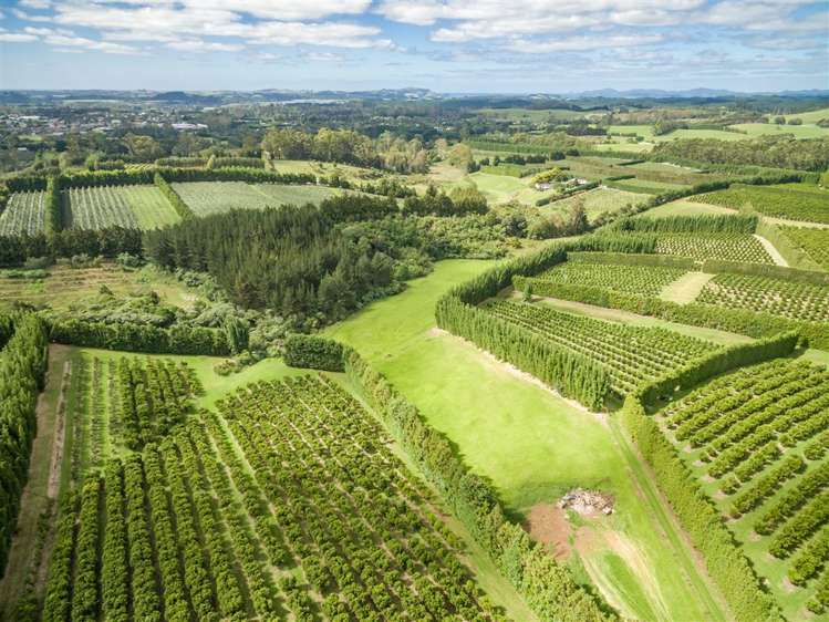 517 Kerikeri Road Kerikeri_11