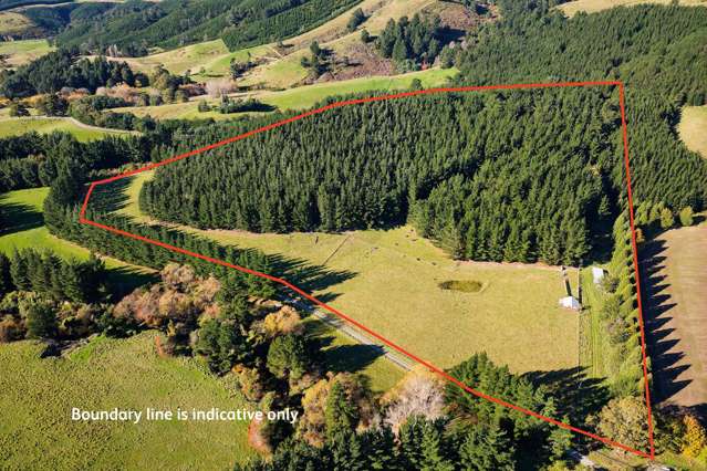 Exceptional lifestyle and forestry opportunity