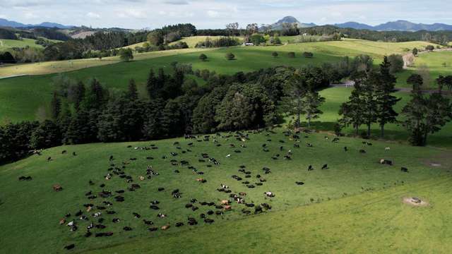 45 Jack Road Pakotai_3