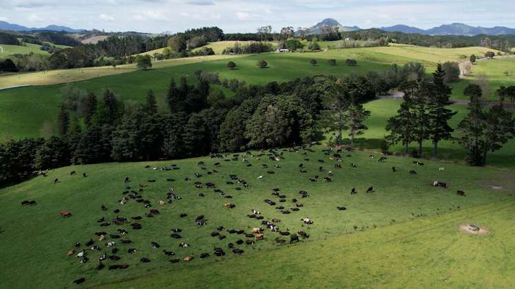 45 Jack Road Pakotai_3