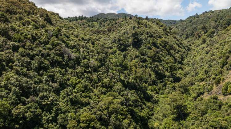 Lot 1 Rameka Creek Road Takaka_14