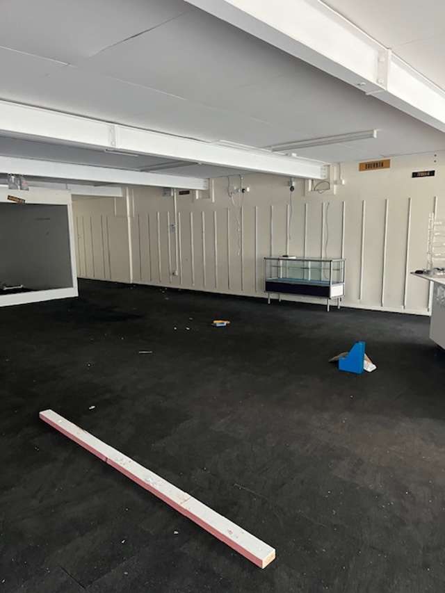 266 Oxford Street Levin_4