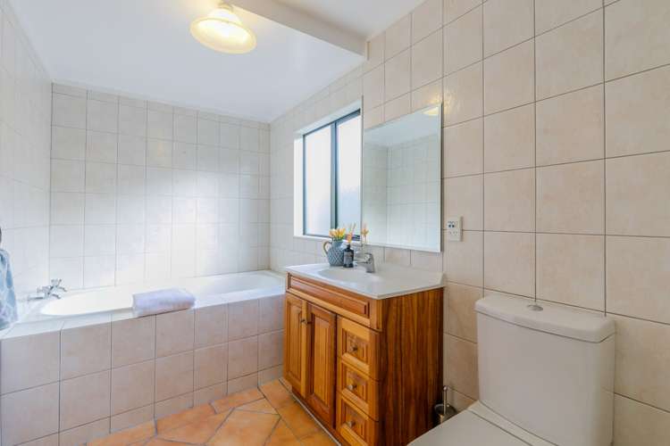 99 Postman Road Dairy Flat_23