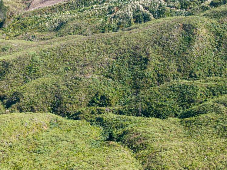Lot/21 Dutton Road Peria_10