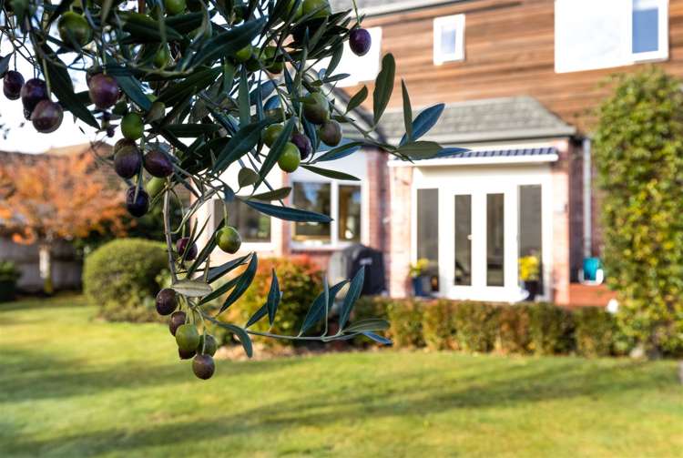 14 Kim Crescent Witherlea_25