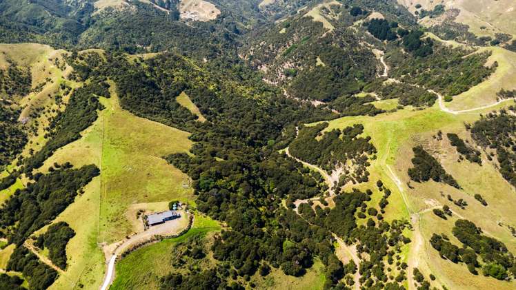 998 Thames Coast SH25 Road Thames_6