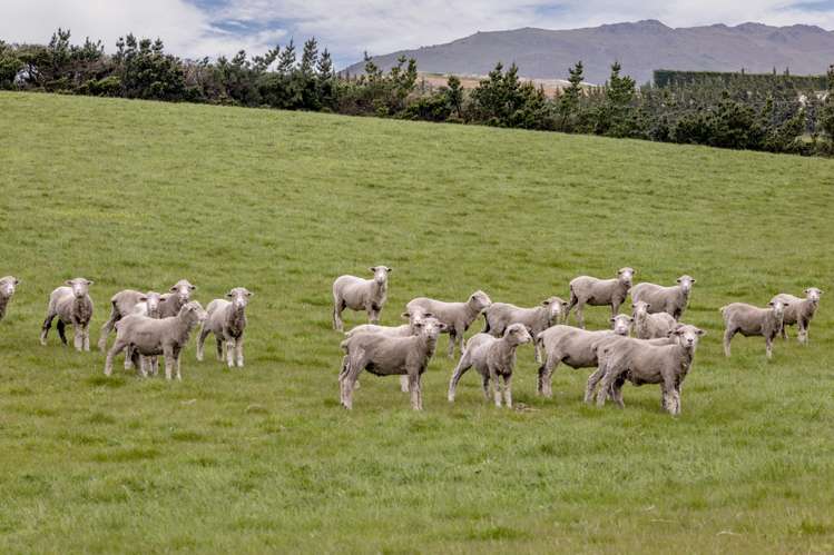 Hawarden Waikari Road Waikari_19