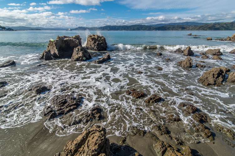 83 Marine Parade Seatoun_21