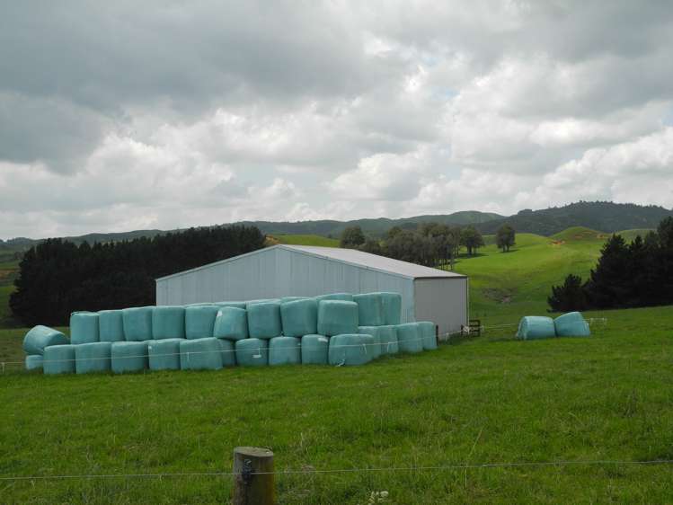 3198 State Highway 23 Raglan_15