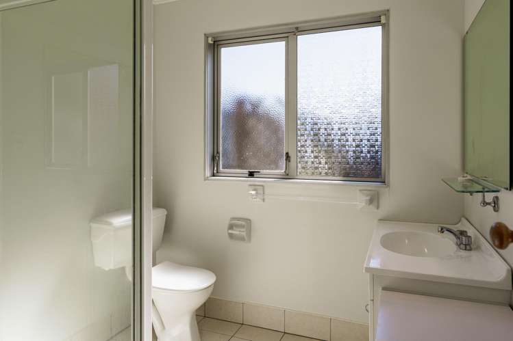 8 Winchester Place Tamatea_7