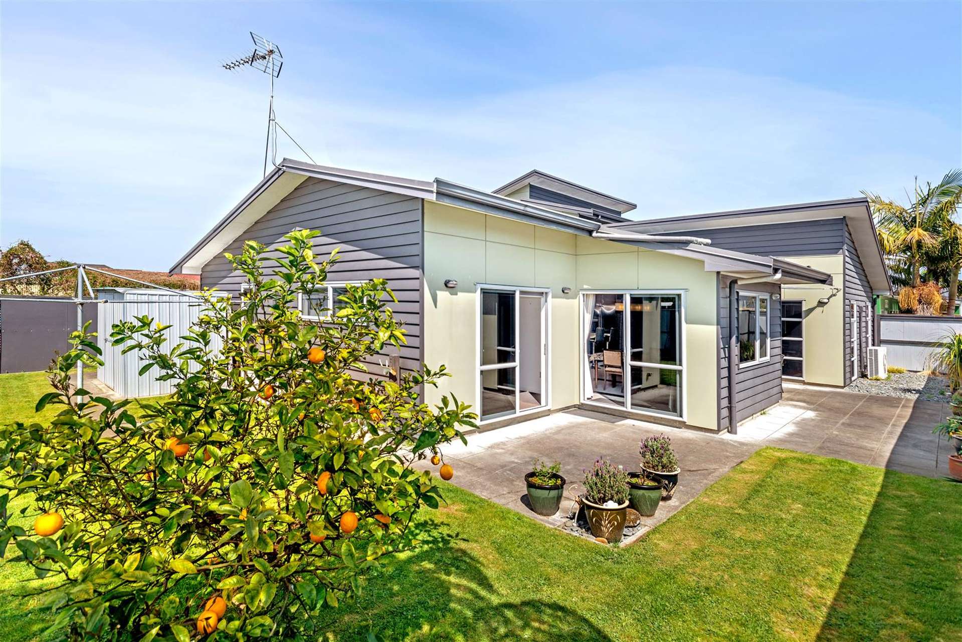 429 Palmerston Road Gisborne_0