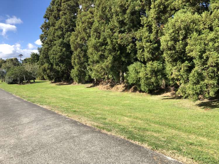 970 Kahikatea Flat Road Waitoki_15