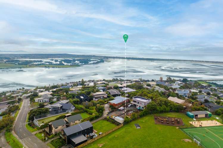 302 Cannon Hill Crescent Mount Pleasant_14