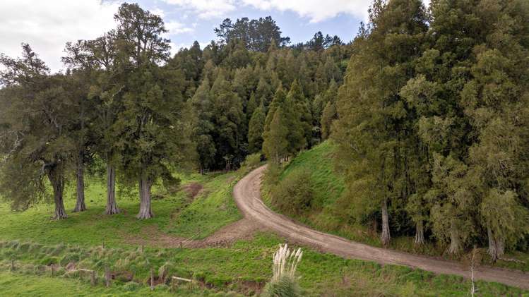 Queens Farm, 16 McGinley Road Opotiki_23