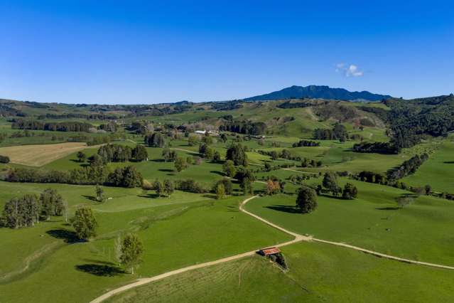 141 Te Mata Road Raglan_2
