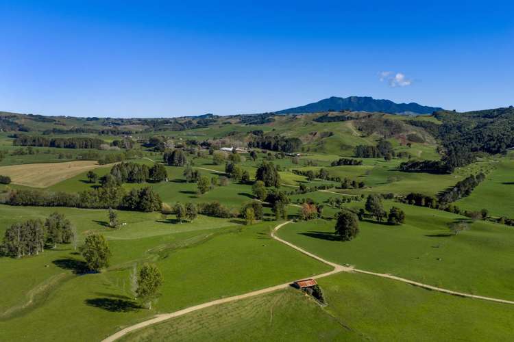 141 Te Mata Road Raglan_2