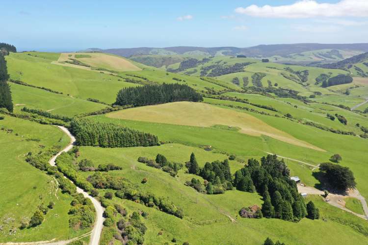 1777 Papatowai Highway Papatowai/Pounawea_18