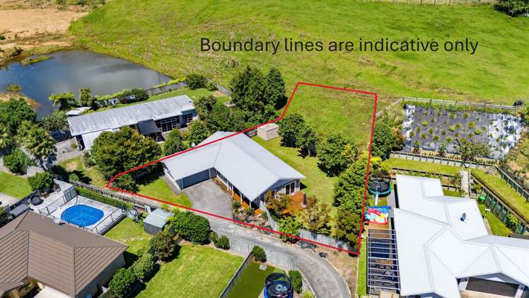 15A Heta Road Highlands Park_26