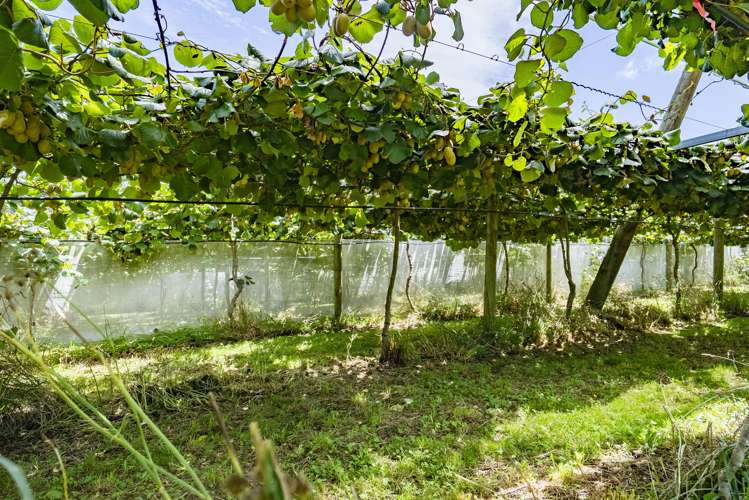 457 Whatitiri Road Poroti_11