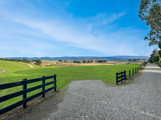 Awamoa Road Oamaru_1