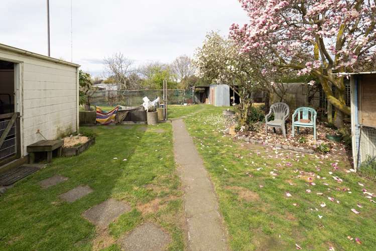 155 Peters Street Hinds_6