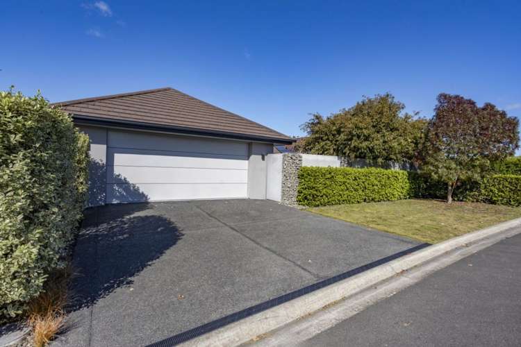 1 Tommy Street Pegasus_29