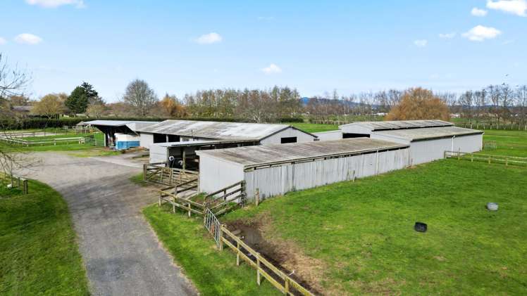 59 Racecourse Road Cambridge_47