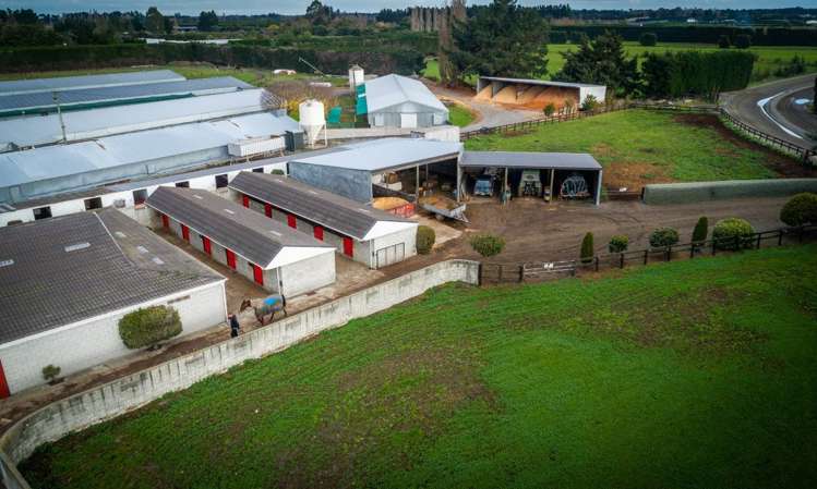 465 Dawsons Road Templeton_19