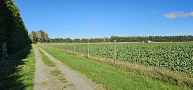 61 Nine Mile Road Riversdale_2