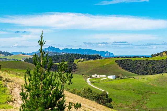 Lots 1&2/132B Garbolino Road Mangawhai_2