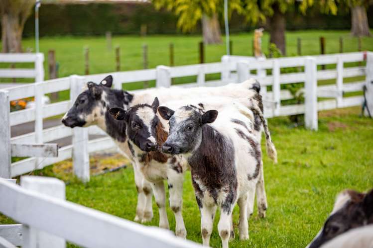 976 State Highway 26 Eureka_12