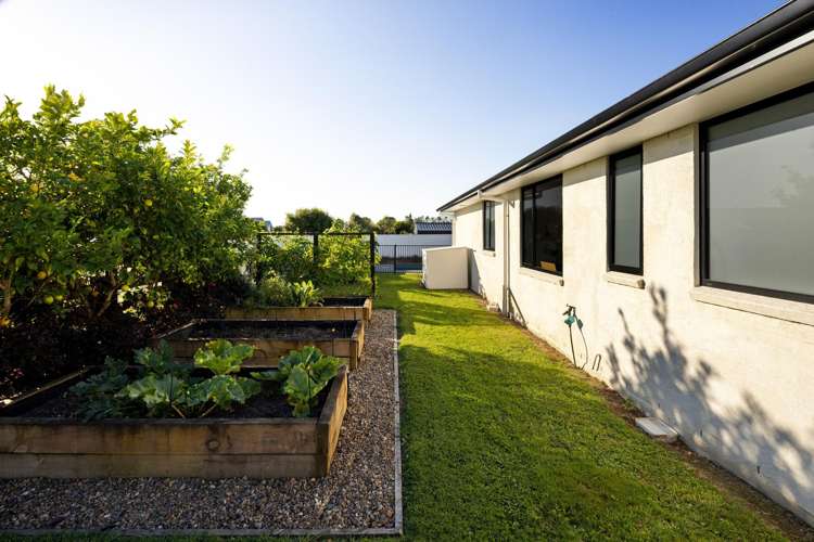 7 Moemoea Place Cambridge_32