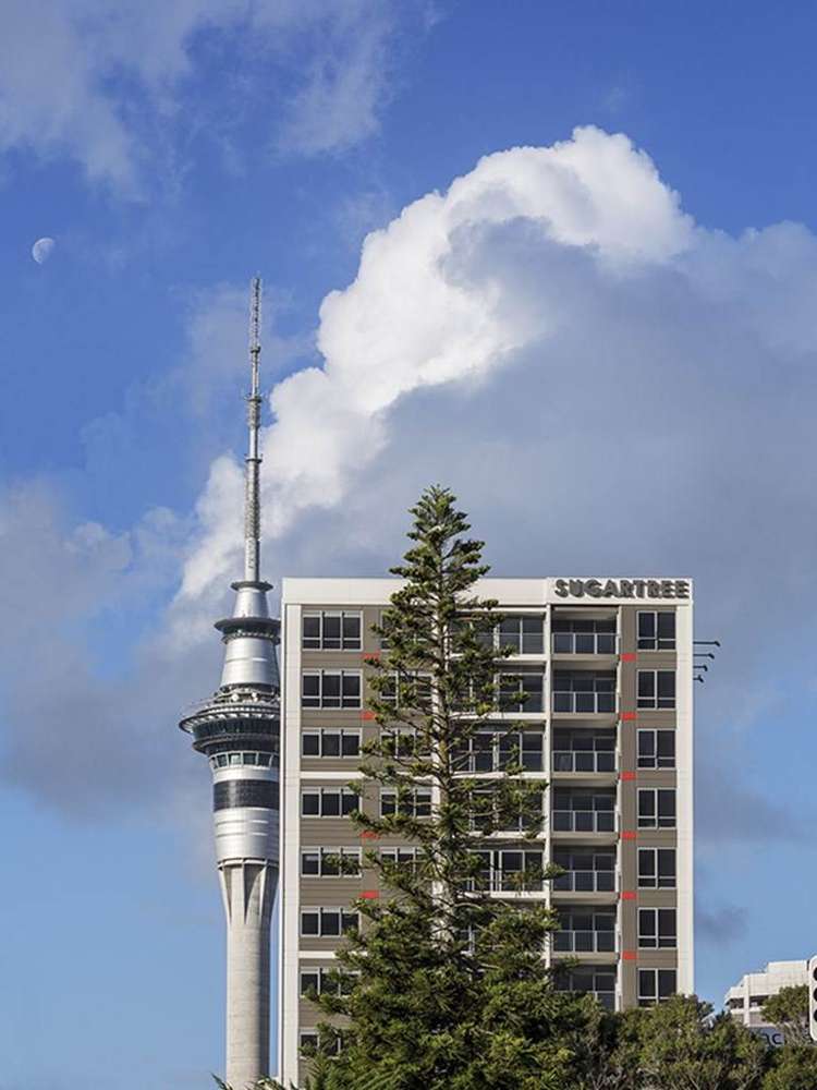 319/147 Nelson Street Auckland Central_1