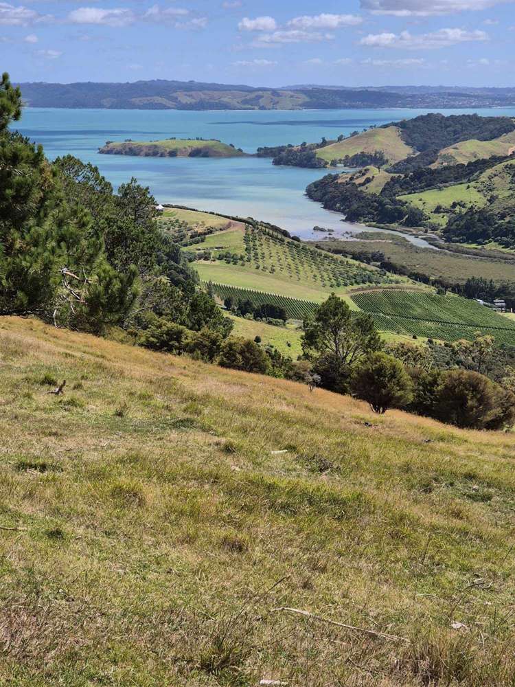 79 Awaawaroa Road Awaawaroa Bay_2