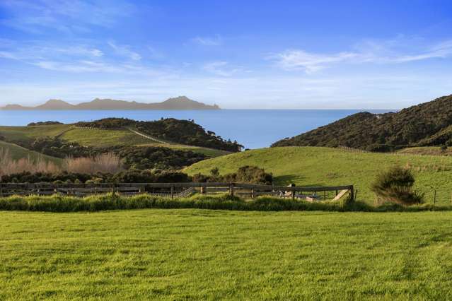 12 Tuaraki Road Mangawhai Heads_1