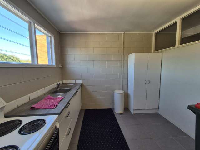 7A Totara Avenue New Lynn_4