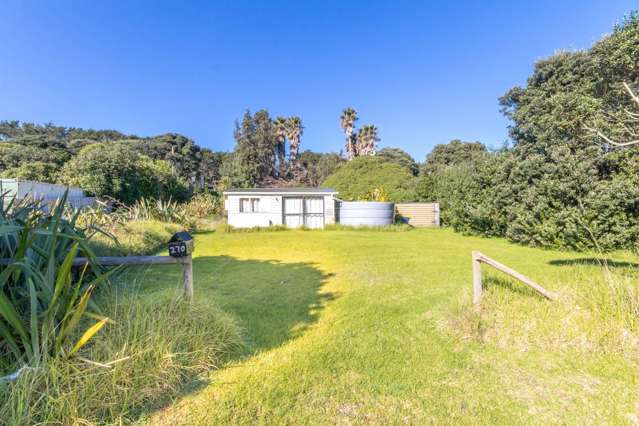 270 Bethells Road Bethells Beach_3