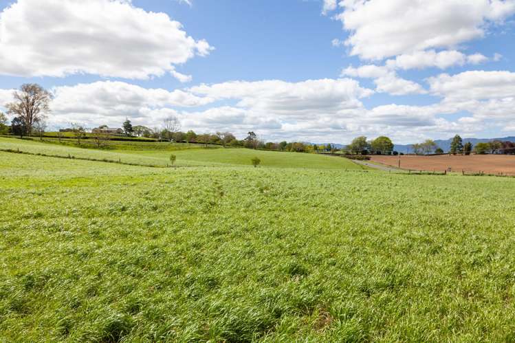 200 Gunn Road Matamata_3