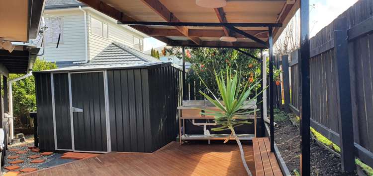 29 Crossandra Drive Mangere_11