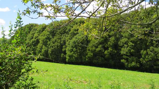 58 Ryburn Road Ohaupo_1