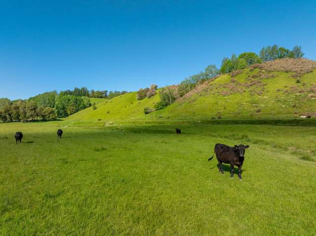 281 Tadmor Valley Road Tapawera_2