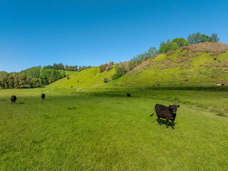 281 Tadmor Valley Road Tapawera_2