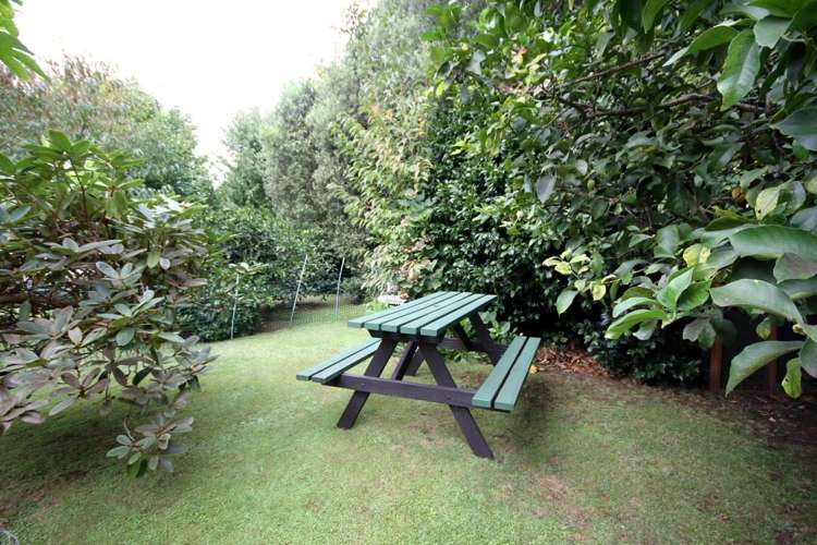 10 Robin Street Waihi_8