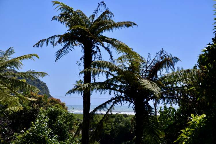 21 Horncastle Crescent Kahurangi National Park_5