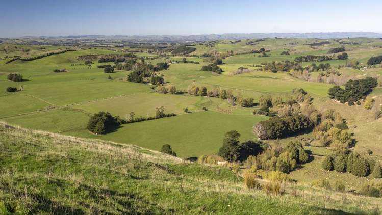 72 Te Hau Road Masterton_16