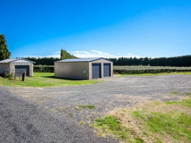 33 Burt Road Matata_8