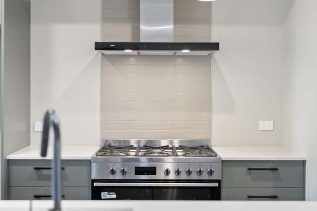 Lot 110 Hass Drive Ohauiti_3