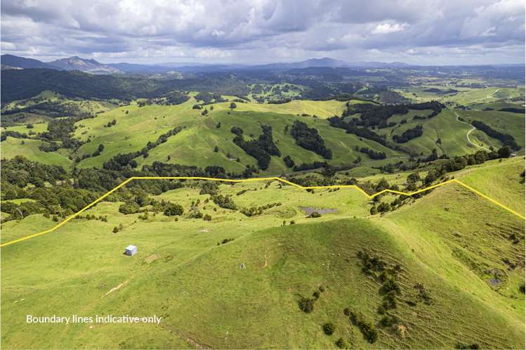 632 Marlow Road Maromaku_33